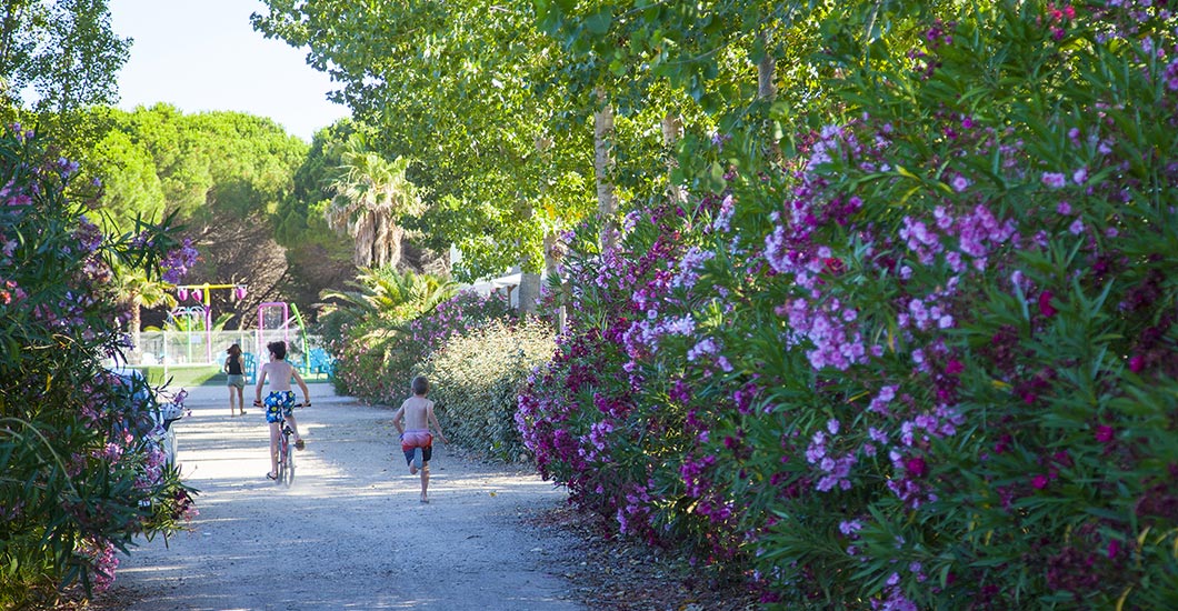 Kinder spielen, Fahrrad, Fußgänger Zone, Bougainvillea, Campingplatz mit Bäume und Blumen