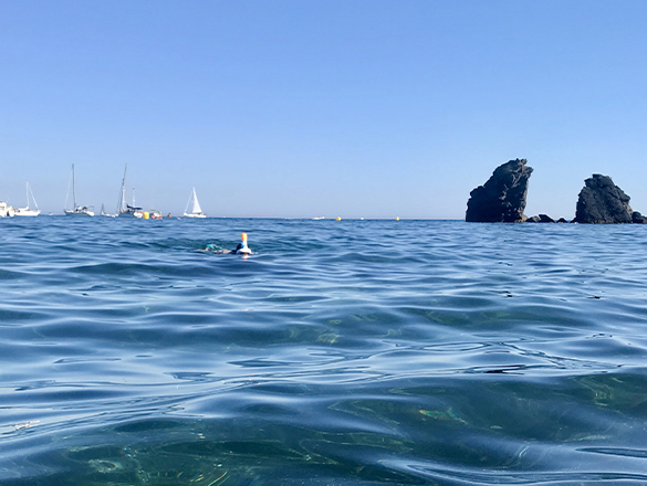 Snorkeling, swimming, water activities at Cap d'Agde
